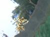 blog070220 024_R.jpg